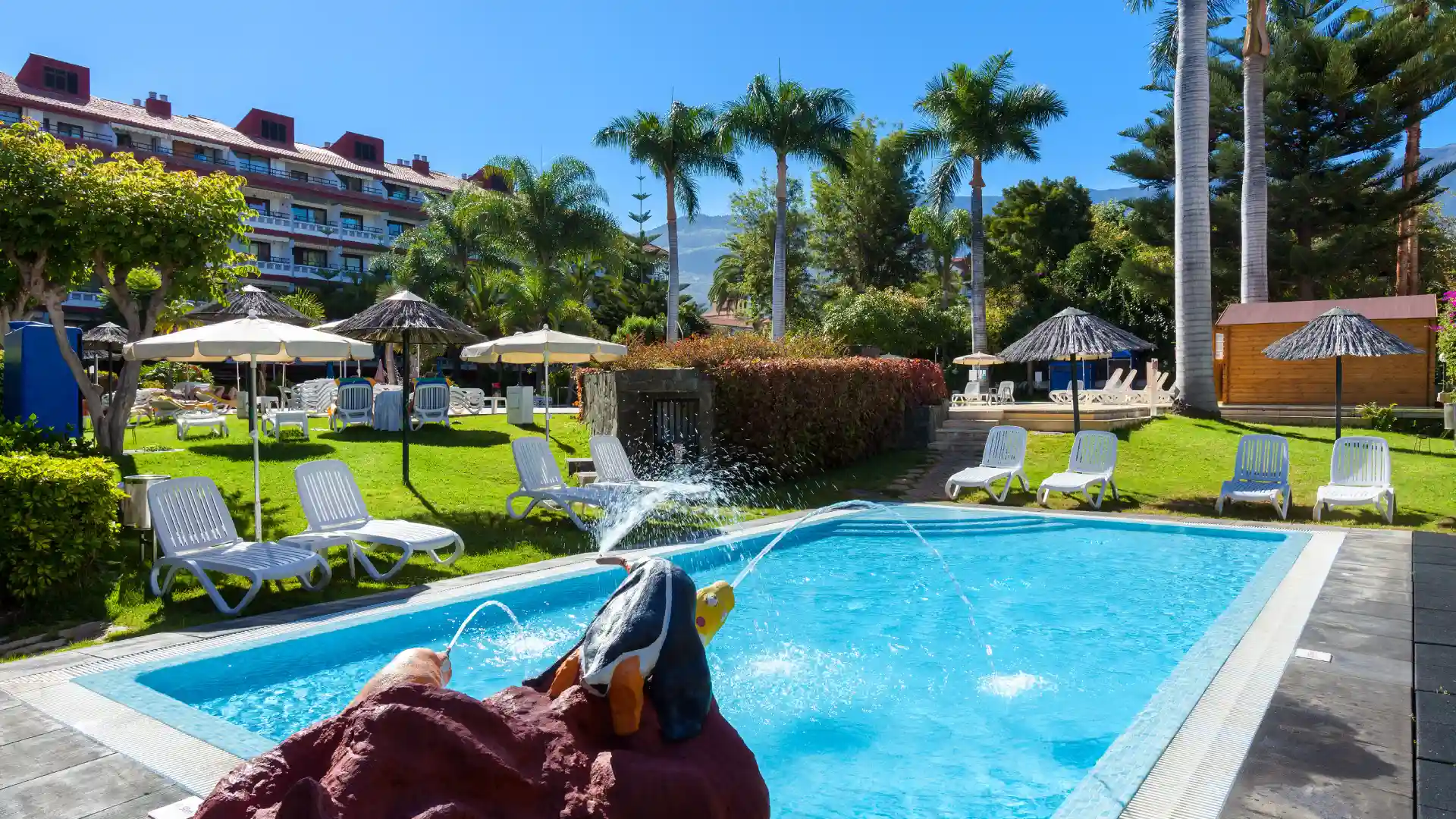 piscina apartamentos masaru