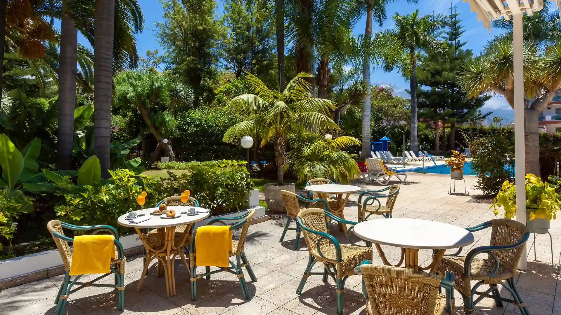 Barterrasse der Apartamentos Masaru