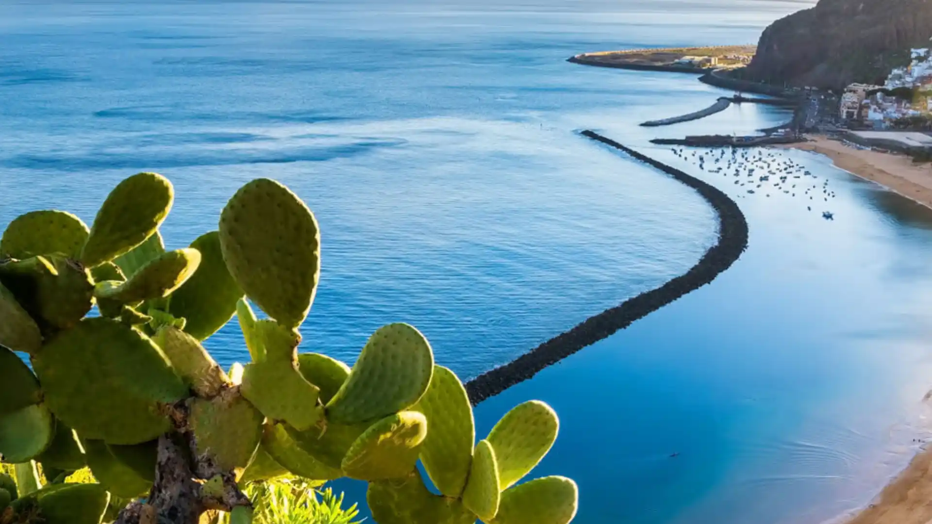 Blick auf Puerto de la Cruz in den Apartamentos Masaru