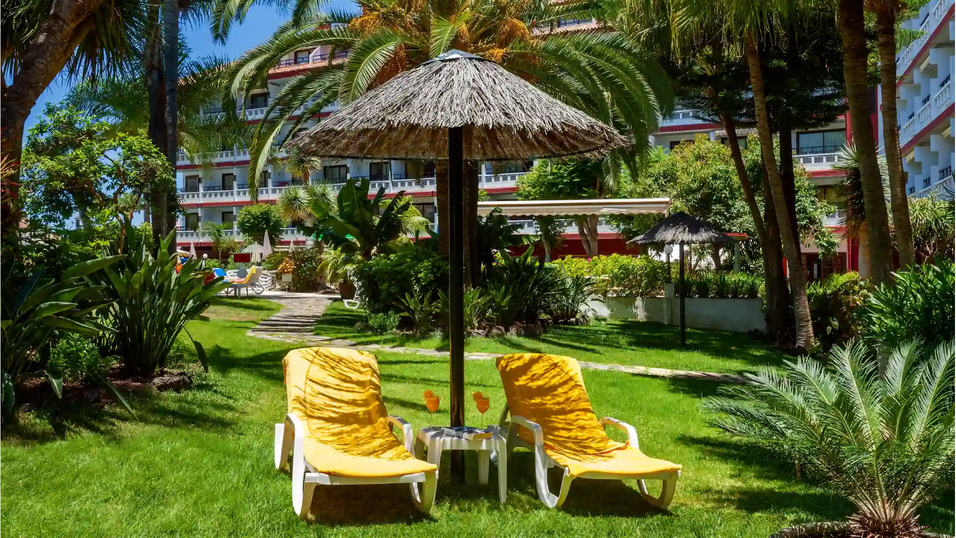 sun loungers in the garden at Apartamentos Masaru