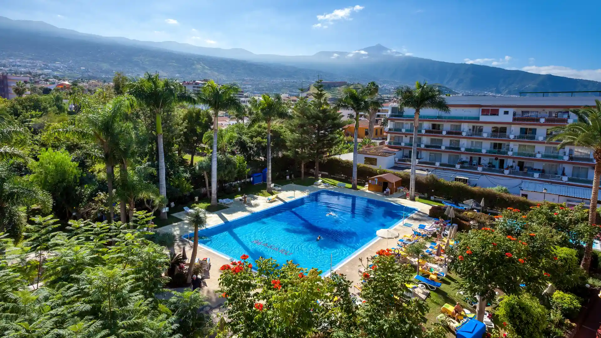 pool view at Apartamentos Masaru
