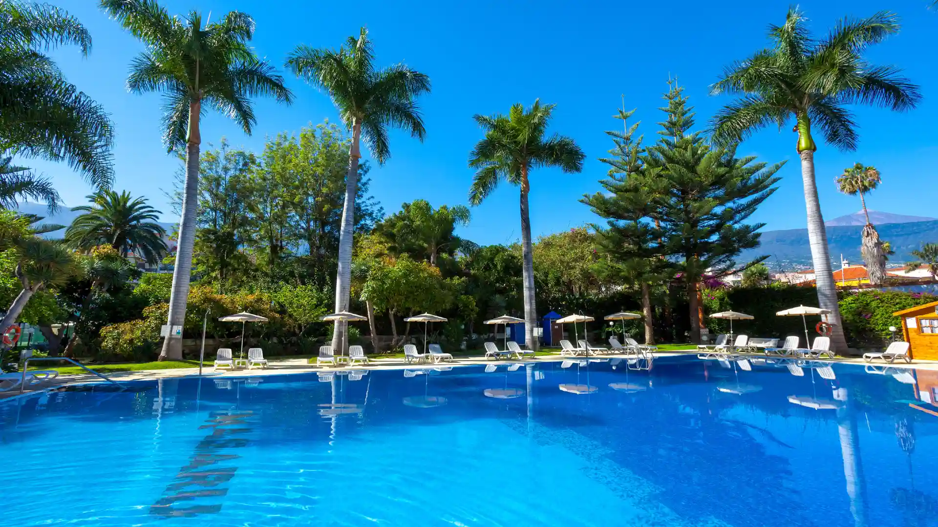 pool with palm trees at Apartamentos Masaru